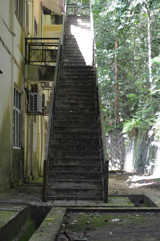 0441 DSC 5754